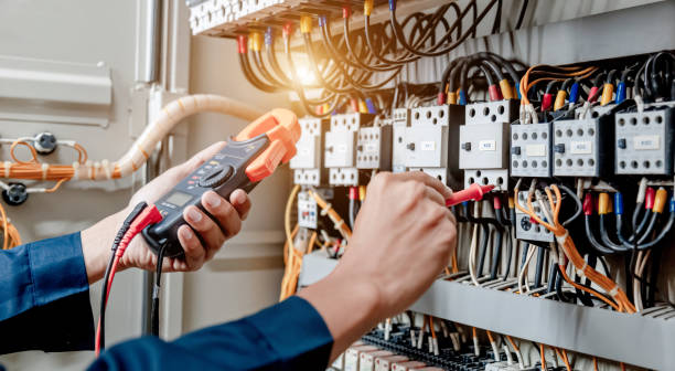 Best Electric Panel Repair  in Mount Carmel, TN