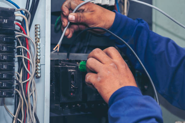 Best 24-Hour Electrician  in Mount Carmel, TN