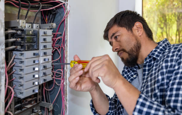 Best Electric Panel Repair  in Mount Carmel, TN